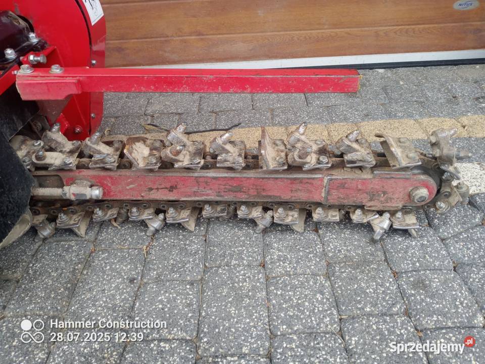 Koparka łańcuchowa cedrus Polany