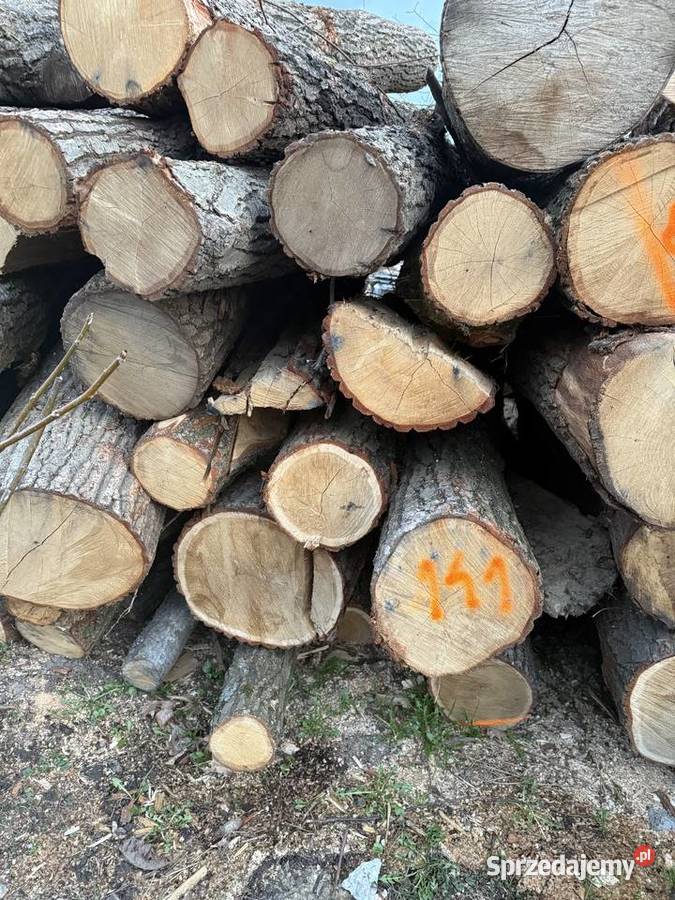 Drewno opałowe kominkowe twarde Buk dąb grablipa podkarpackie Pruchnik