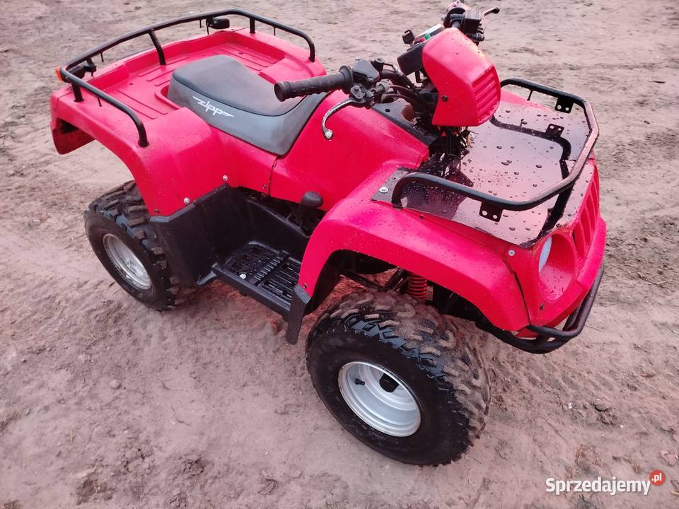 Quad Zipp 100cc automat wsteczny Skłody Borowe sprzedam