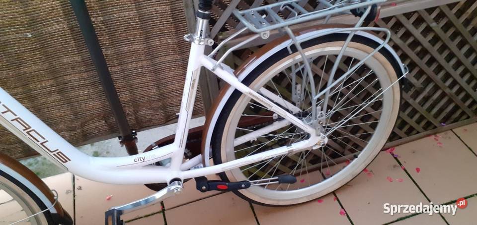 Rower koła 26