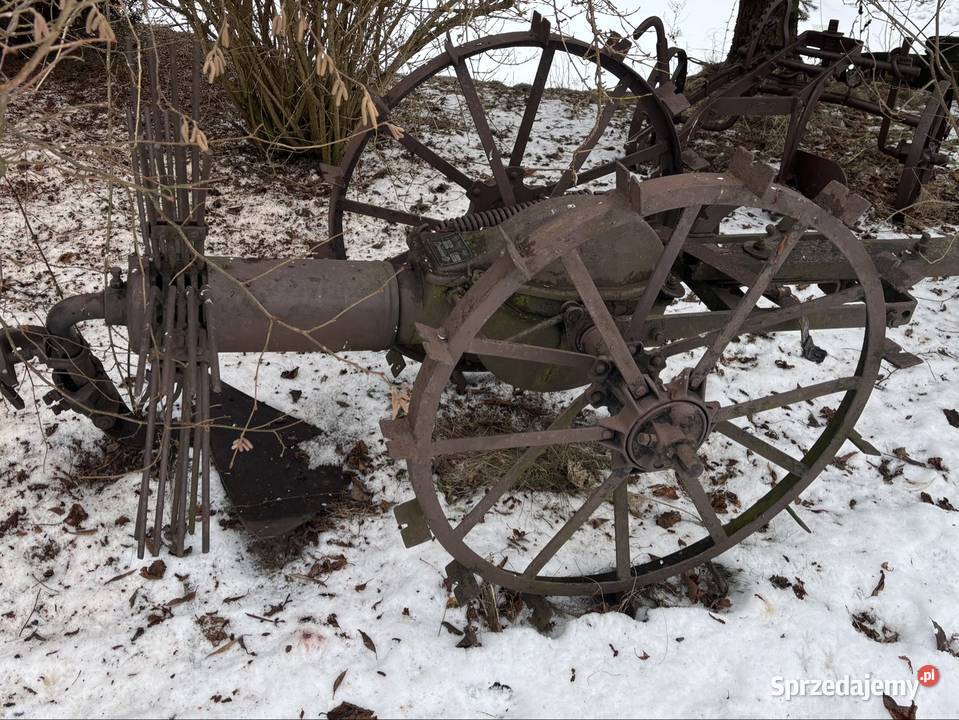 Kopaczka do ziemniaków buraków jednorzędowa Sochaczew
