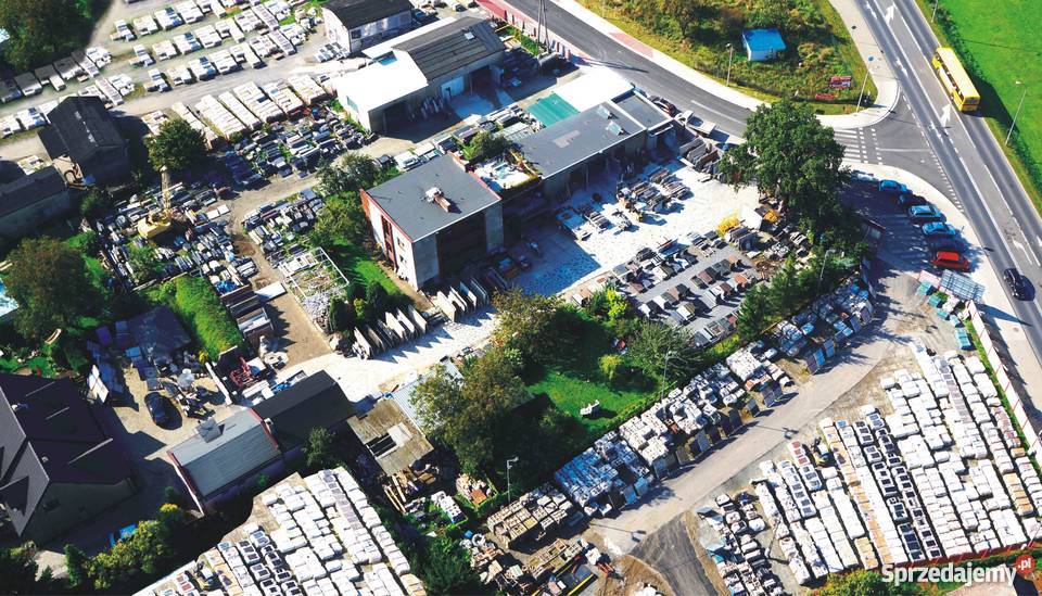 MOZAIKA KAMIENNA BIANCO CALACATTA GOLD PLASTRY Bielawa