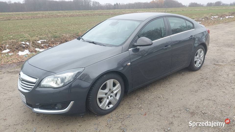 Opel Insignia 2013 Insignia Zakrzew