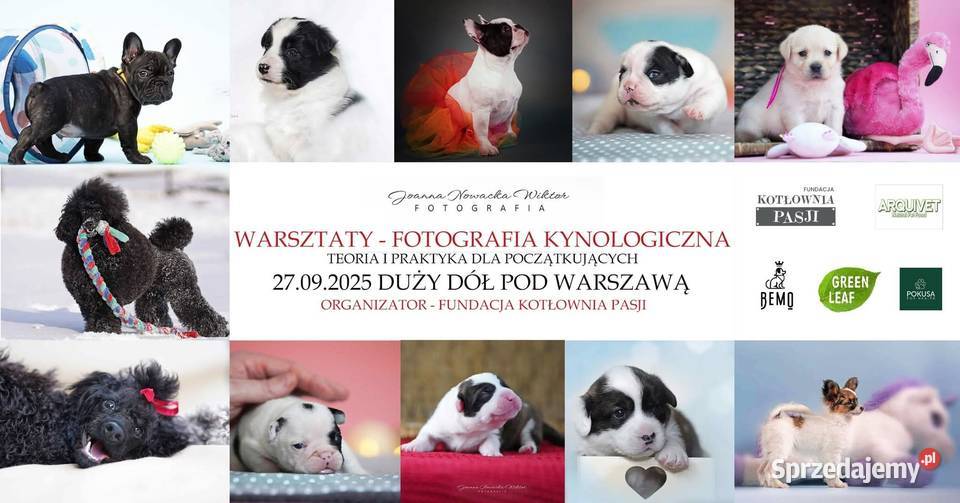 Warsztaty Fotograficzne Hodowców Wwy