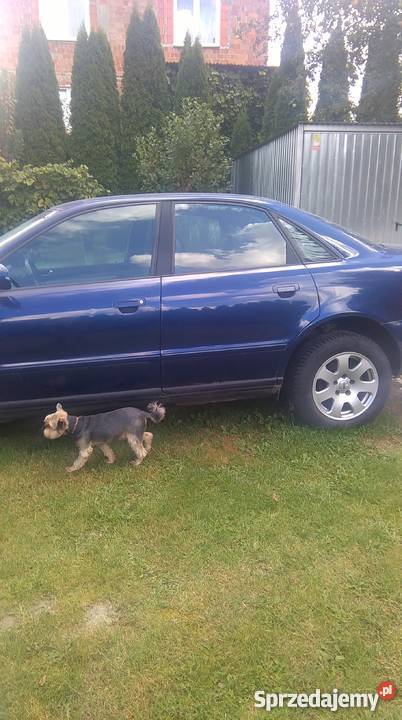 sprzedam audi a4 b5 całe na częsci Brwinów
