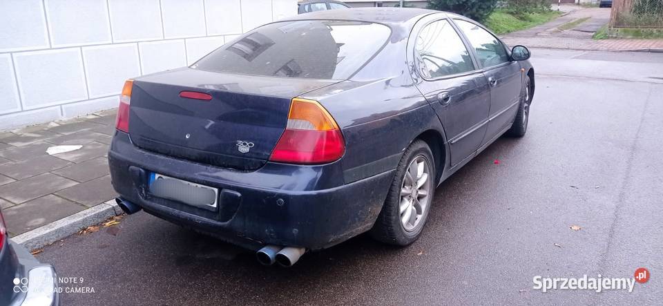 Chlysera 260 koni śląskie Sosnowiec