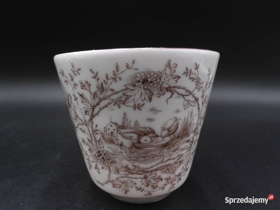 Filiżanka wiekowa porcelanowa CT Altwasser Raszków