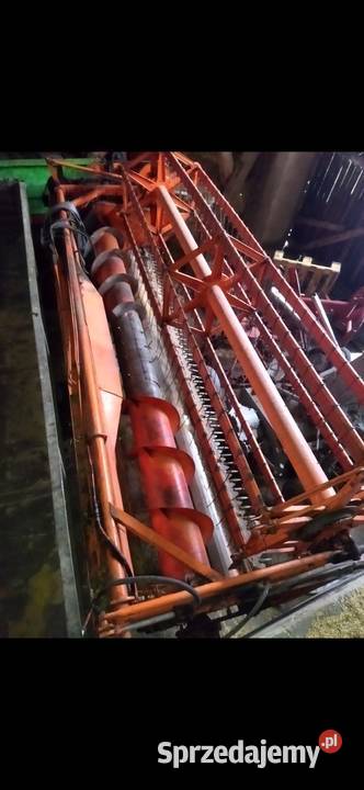 Bizon na części zo 50 Goszczanów