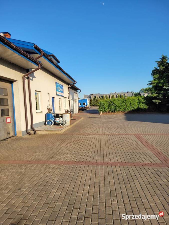 Nowe Siniki Remonty Silników Naprawy Forda Radom