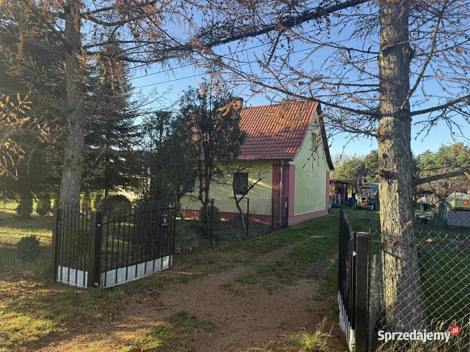 Nieruchomości Jagodne Wielkie sprzedam