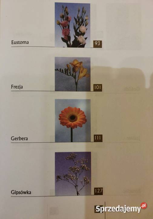 Kwiaty cięte uprawiane pod osłonami Marek Jerzy Wrocław