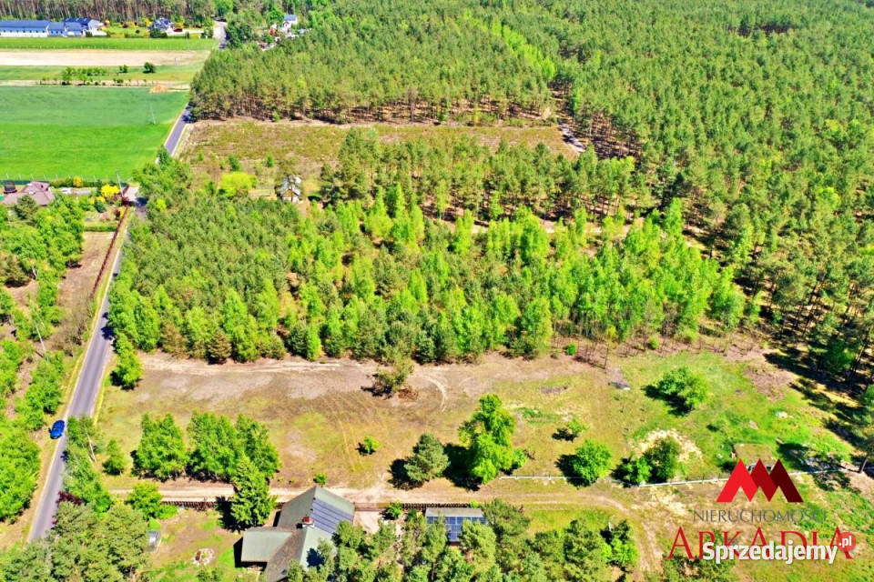 sprzedaży gruntu 1042m2 Kosinowo kanalizacja sprzedam