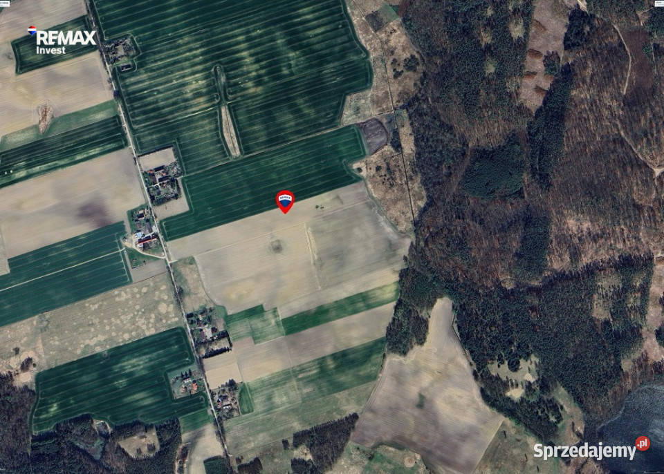 Na przedaż kompleks działek 146500m2 Nowe Worowo