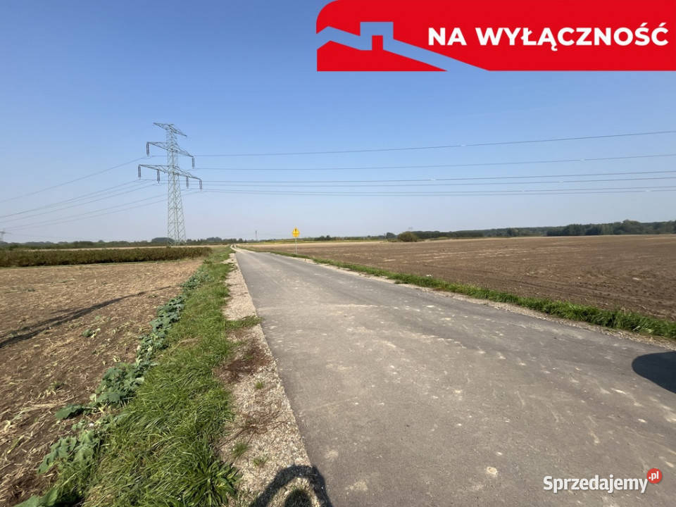 Działka rolnobudowlana 031 ha w Gołębiu kPuław lubelskie Gołąb