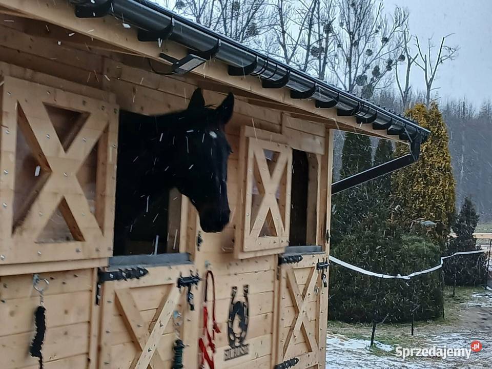 Zawias bramowy drzwiowy pasowy kuty 60 czarny do Rzeszów