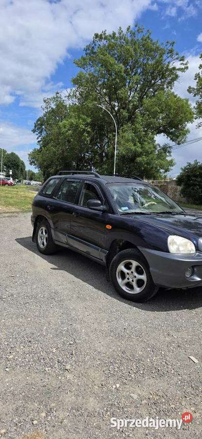 Santa Fee 20 gaz klimatyzacja Rok produkcji 2004 Santa Fe sprzedam
