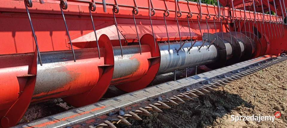 Kombajn zbożowy Bizon Z056 Zbożowe świętokrzyskie Opatów