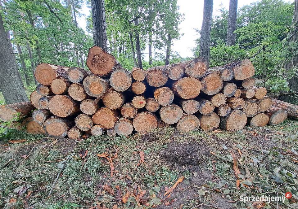 drewno opałowe Opał