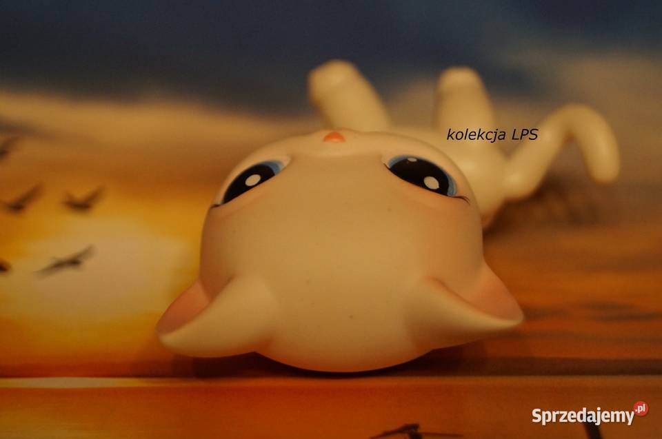LPS Littlest Pet Shop shorthair 64 oryginalny Rybnik