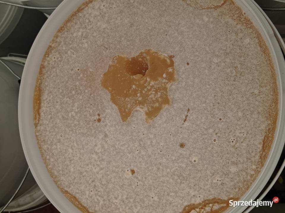 Miód Wielokwiatowy Wiosenny Kozietuły