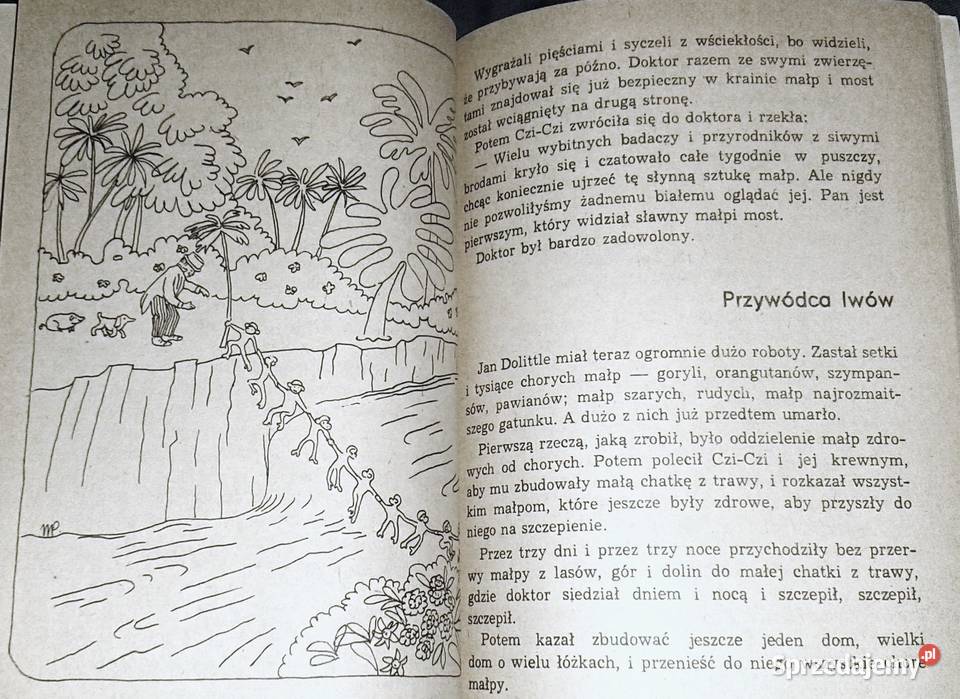 Doktor Dolittle i jego zwierzęta Hugh Lofting miękka lubelskie Chełm