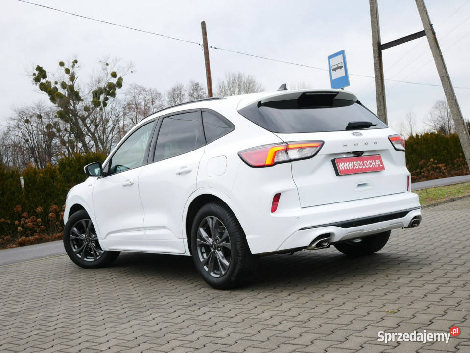Ford Kuga 15 EcoBlue 120 Eu6 StLine Automat 8b Rok produkcji 2021 Goczałkowice-Zdrój