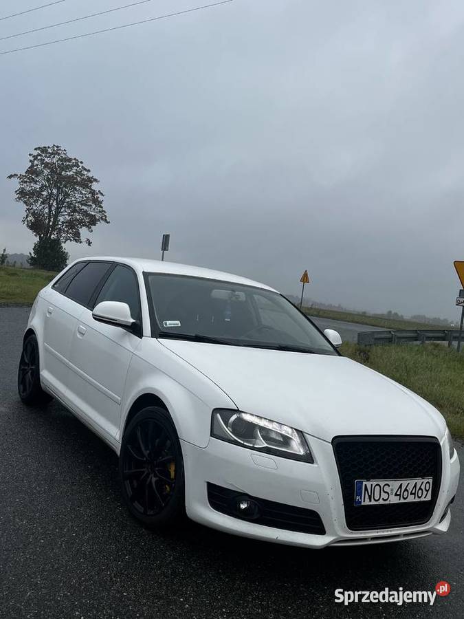 Audi A3 8P Sportback Małdyty