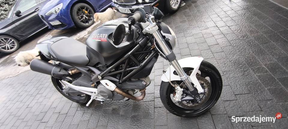 Ducati Monster 696 Józefów-Pociecha
