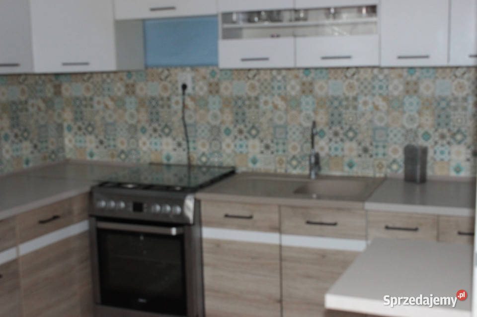 duży DOM z lokalem użytkowym Inwestycja Będzin