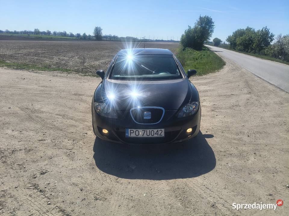 Seat Leon 2 19 TDI Rok produkcji 2008 wielkopolskie Września sprzedam
