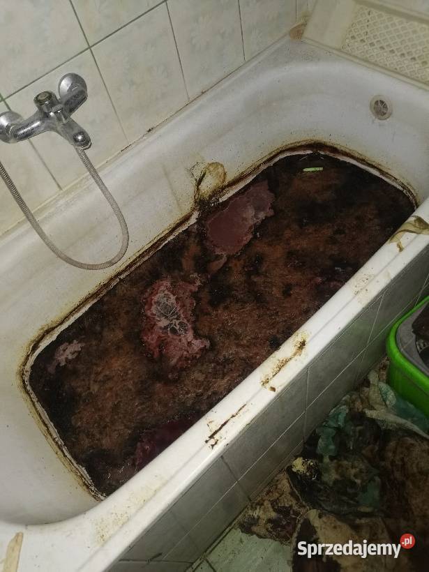 Ozonowanie i neutralizacja zapachu śmierci Świebodzice