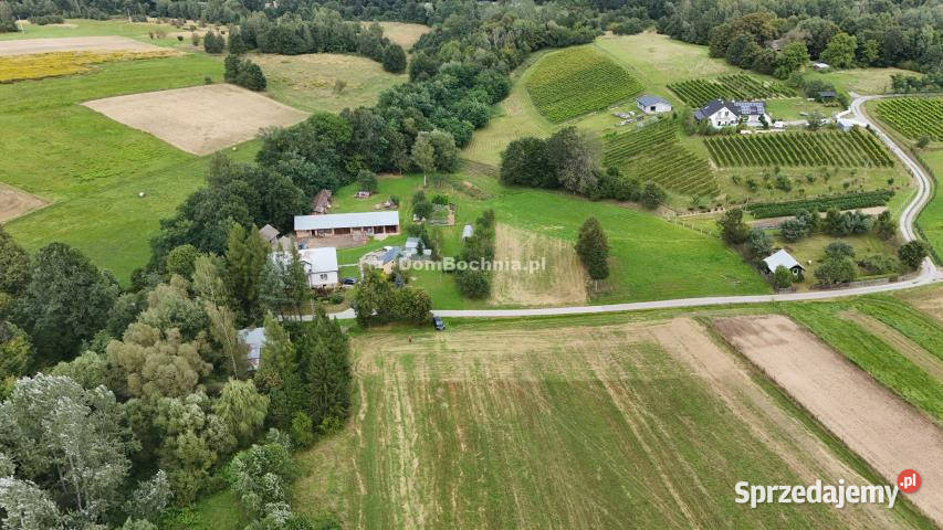 Działka Chronów 2400m2 2400m2 Sprzedaż