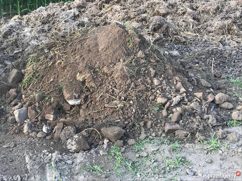 Łyżka przesiewająca GYRUSTAR do koparki Pozostałe Konopnica
