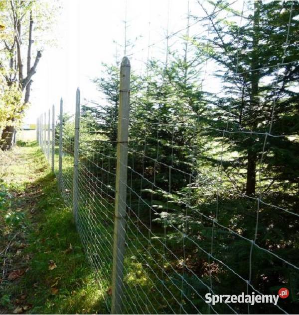 SIATKA LEŚNA 1601130 L ocynk