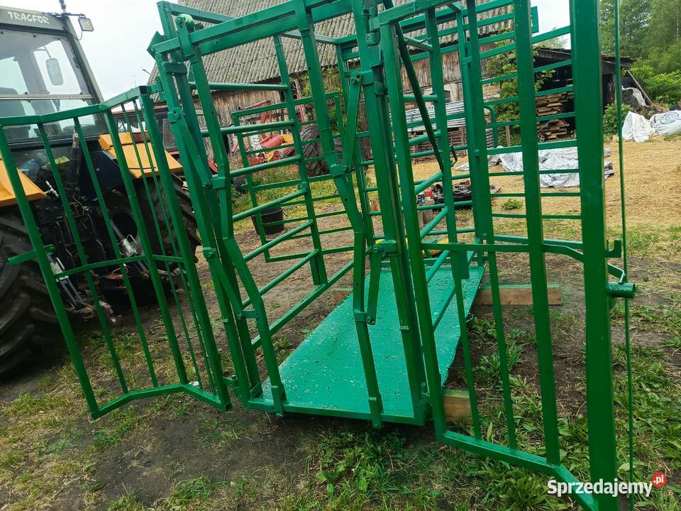 Poskrom waga do bydła Giełda zwierząt lubuskie Przynotecko sprzedam