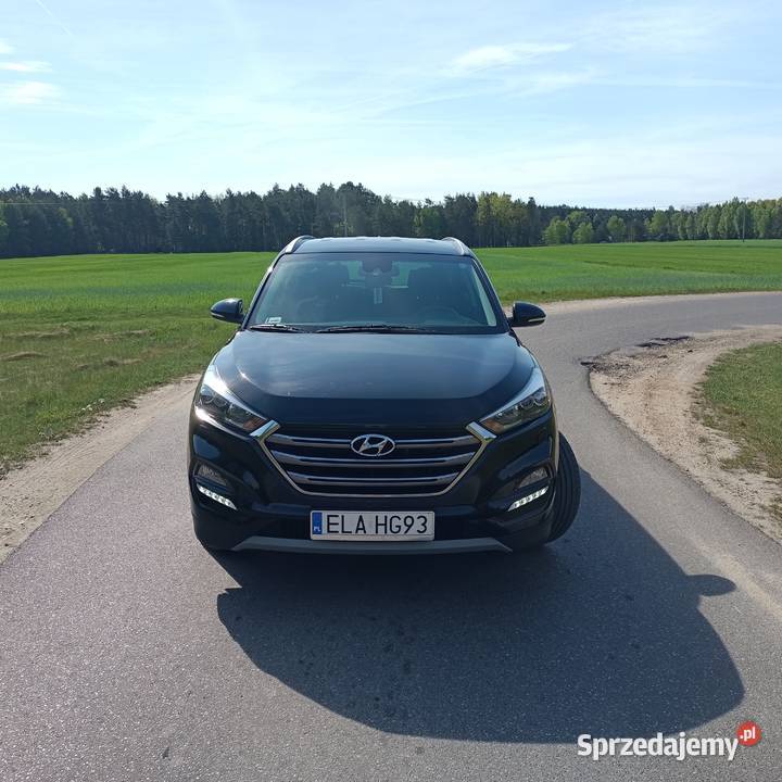 Hyundai Korzeń