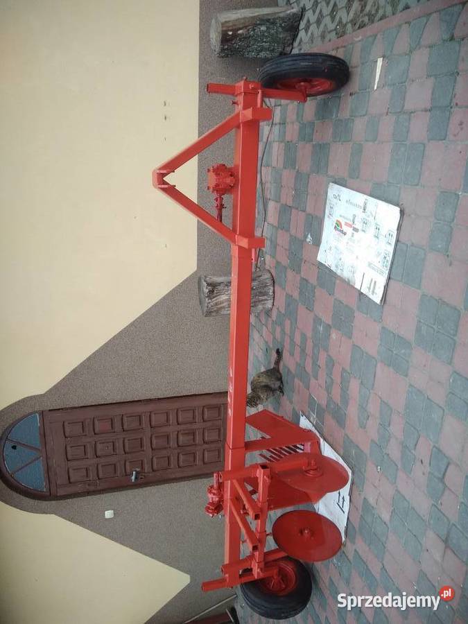 Wyorywacz do truskawek lubelskie Chodel