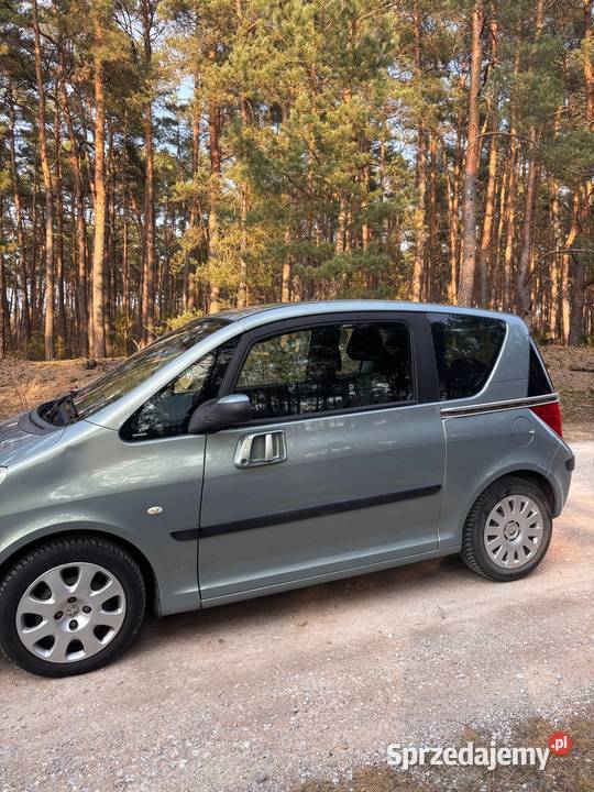 Peugeot 1007 2006 mazowieckie Gostynin