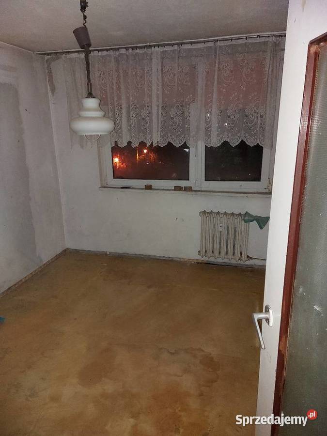 Opróżnianie Mieszkań Domów Strychów Piwnic Wołów