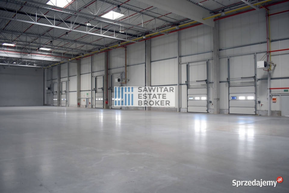 Hala klasyA Dąbrówka bez prowizji