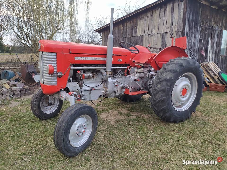 M F Ferguson Pali jeździ Rolnictwo Aleksandrów Łódzki