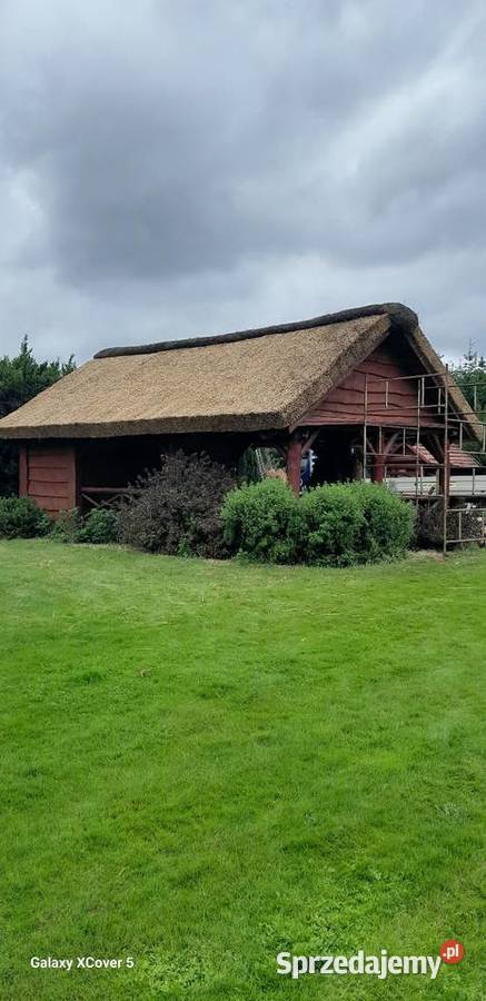 StrzechaAltany dolnośląskie Trzebnica