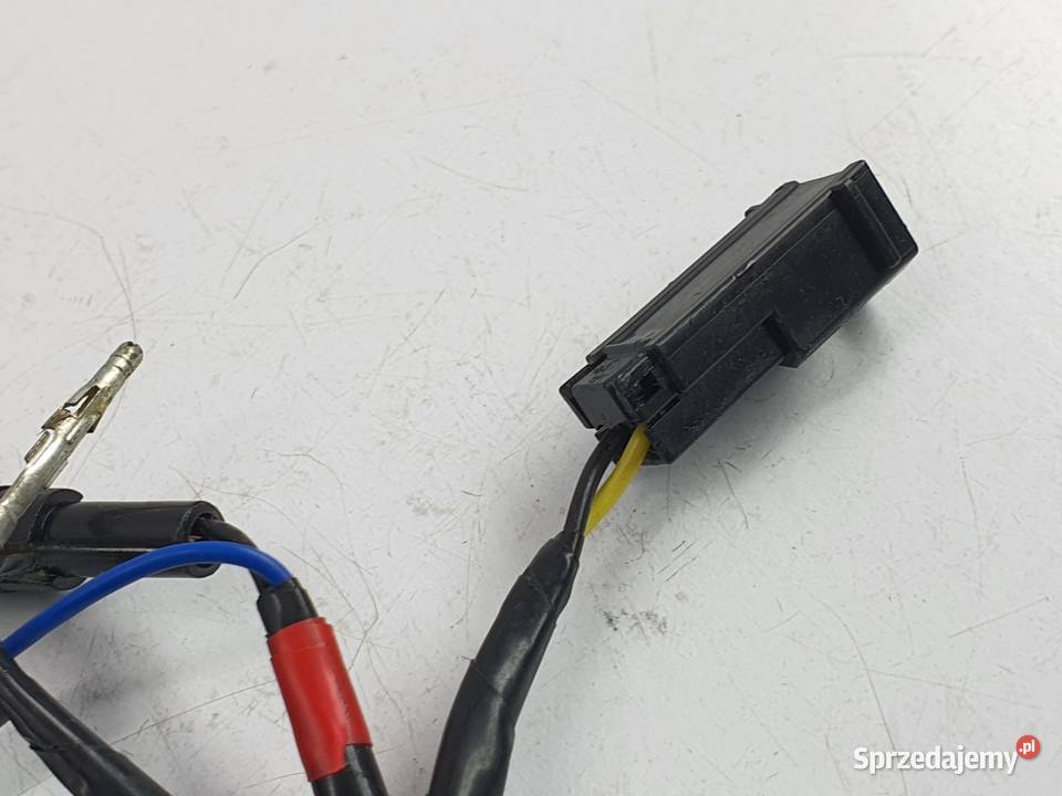 Kosrtka Wtyczka Wiazka Instalacja Triumph Speed