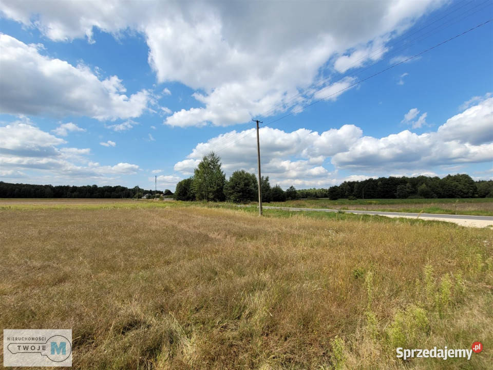 Działka 8000m2 Kluczewsko sprzedam