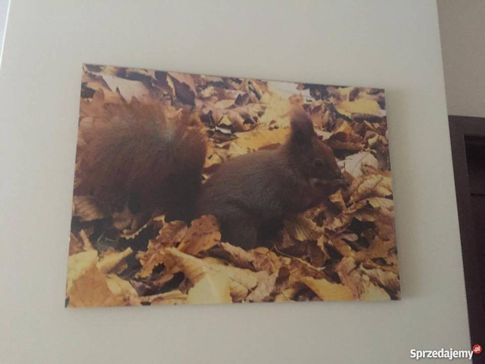 do sprzedania 35 Rzeszów