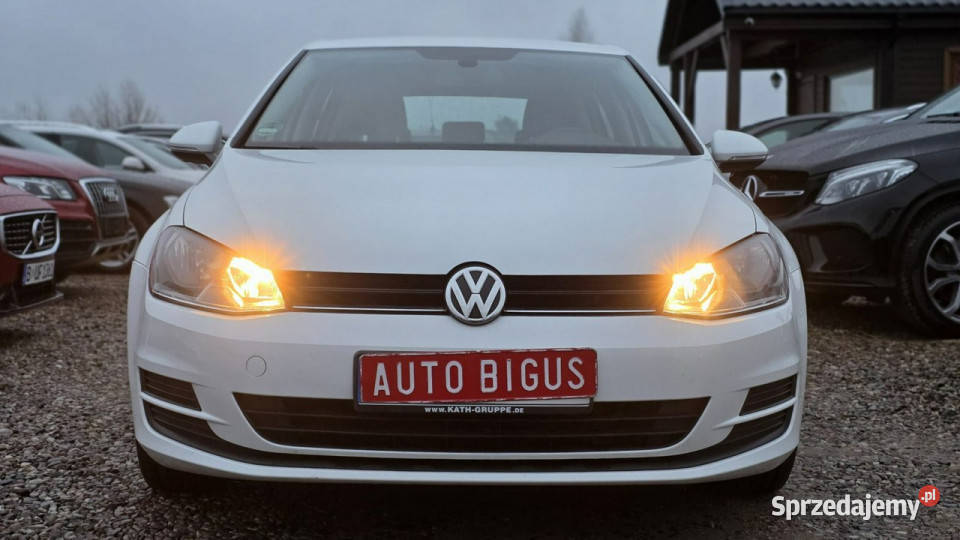 Volkswagen Golf Mały Przebieg climatronic VII światła przeciwmgielne