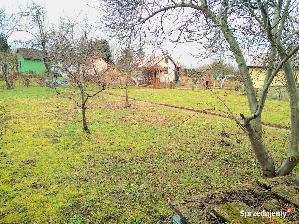 Działka ROD Sahara z domkiem 585m2 Lubin