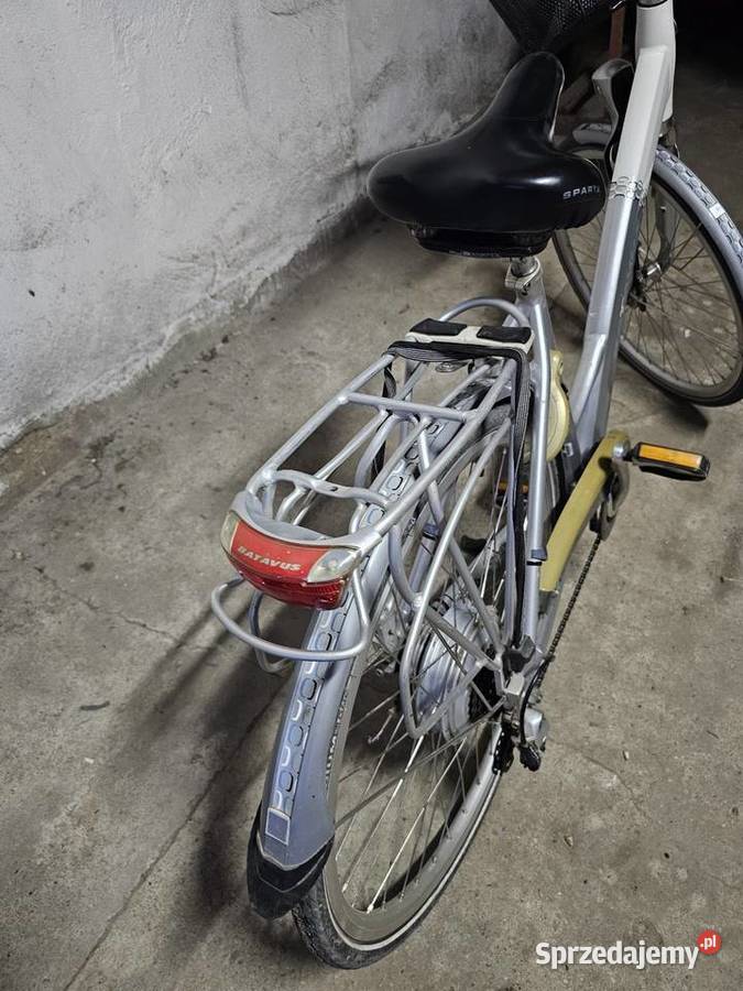 Rower miejski Batavus Tłukomy