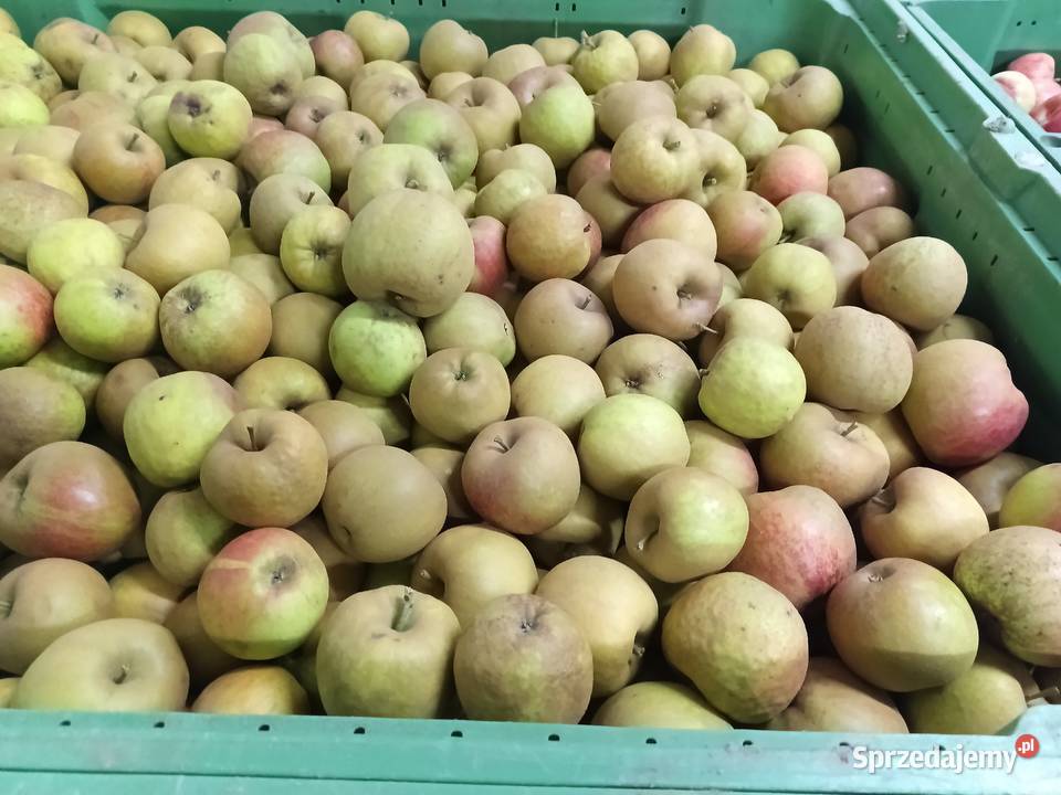 Sprzedam ekologiczne warzywa i owoce sprzedaż Kobylany sprzedam