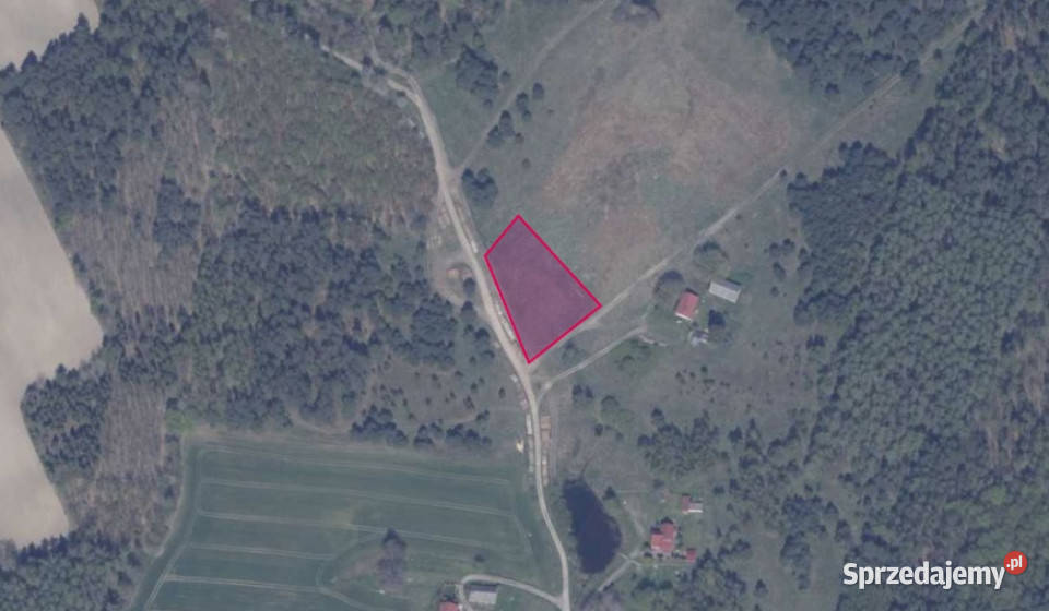 Działka 771 w miejscowości Błotnia Grunty i działki